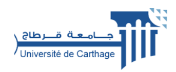 Universit&eacute; de Carthage